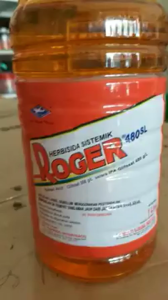 Roger 480 SL Herbisida Obat Pertanian ( 15 Liter 15 Botol )