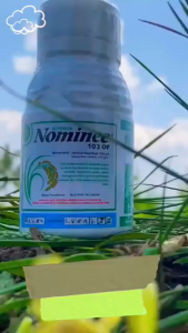 Nomine 103 OF 250 mL: Herbisida Selektif & Sistemik Purna Tumbuh