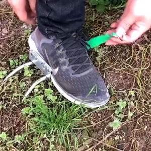 1Pair Tree Climbing Paw 4 Steel Claws Coconut Tree Fast Climbing Tools Tree Climbing Foot Spikes Set