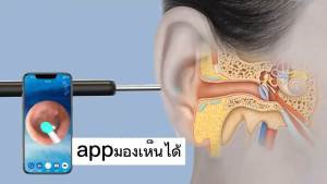 COD จัดส่ง 12 ชั่วโ ที่แคะหูกล้อง 4in1 กล้อง 8000000 พิกเซล HD USB การเชื่อมโยงWiFi ถ่ายภาพ/วิดีโอได้เอง พร้อมเครื่องทําความสะอาดหูกล้องขนาดเล็กสําหรับโทรศัพท์และคอมพิวเตอร์（ไม้แคะหู กล้อง ไม่แคะหูกล้อง กล้องส่องแคะหู ไม้แคะหูมีกล้อง เครื่องทําความสะอาดหู