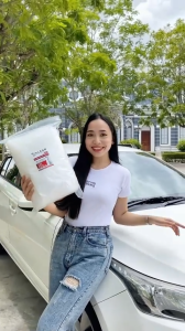 KLEAR : พลาสติกใสคลุมรถยนต์ TOYOTA ALPHARD สำหรับ ทุกรุ่น ทุกปี อย่างดี หนาสุด มียางรัดขอบ [ LL ]