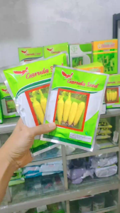 COD Isi 1750 Biji Bibit Benih Jagung Manis BARUNA 250gram