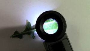 Kính lúp cầm tay Carson MicroMag ML-15 có đèn 11X (Hãng Carson - Mỹ)