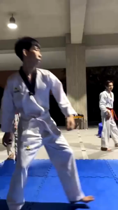 [Vợt Đá Đơn] Đích Đá Tập Võ Thuật Cầm Tay Vstar Taekwondo Vovinam Karatedo Đùi Gà - Little Kobo