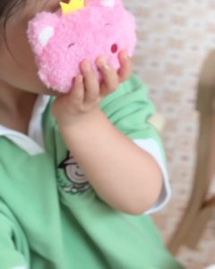 THÚ BÔNG NAMETAG VÀ MELODY KEYRING PINKFONG BABYSHARK HÀN QUỐC CHO BÉ GHI TÊN TREO CẶP