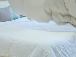 Chăn Chần Gòn Bedding Cotton 100% Hàn Quốc Màu Trơn Kích Thước 2m2x2m