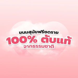 (3 แถม 1 เฉพาะแบบซอง) REMY Dog Freeze-Dried - เรมี่ ขนมสุนัขฟรีซดรายสำหรับสุนัข (40 g.)