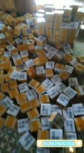 Obat Sering Buang Air Kencing Pria Wanita Herbal Beser Ngompol Anyang Anyangan COD