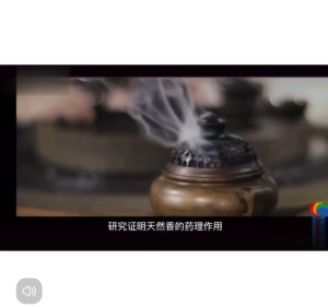 CARRISWERTE LAO SHAN Sandalwood Red Incense in Hexagonal Tube Premium Quality
