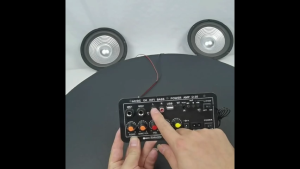TaffSTUDIO Amplifier Board Audio Bluetooth USB Subwoofer Penguat Daya Rumah Mobil Mikrofon Ganda AC 220V DC 12-24V - D30 - PISK04BK