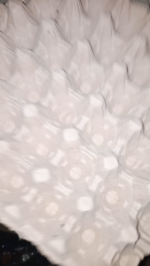 media jangkrik Egg Tray Karton nampan telor  Tempat Telur Ayam Bekas sortir Layak Pakai ataupun untuk ternak jangkrik