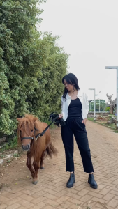 Baggypants Wanita Cream Ukuran Allsize & Jumbo Bahan Paraguay I Celana kerja Bahan Melar