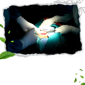 Obat Hernia/Turun BerokUsus Buntu verikokel 200g Isi 30 Kapsul DEKAPRO BHARATA 100% Herbal
