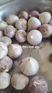 (RẺ QUÁ TRỜI ) #1KG Tỏi mồ côi - tỏi cô đơn tỉnh sơn la - chuẩn vị - thơm ngon - được thu hoạch tại tỉnh Sơn La - Tỏi đen - tỏi khô - tỏi tím rặc