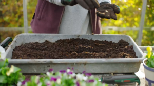 BOSCH for Garden เครื่องมือทำสวน ผลิตจากสแตนเลสแท้ 6แบบ 6สไตล์ ยี่ห้อ BOSCH