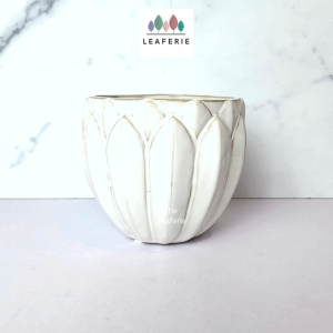 The Leaferie Everly white plant pots Ceramic no drainage flowerpot flowerpots flower pot planter