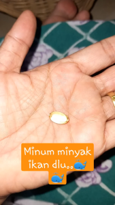 Minyak Ikan Vitamin Kucing Untuk Pelebat Bulu Fish Oil Anti Rontok Penambah Imun Nafsu Makan Penggemuk Kitten 50pcs