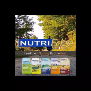 NutriEdge Stage 2 Puppy & Active Adult Food 3kg/Ocean Fish & Rice Formula/Holistic Dog Food/Dog Dry Food/for Sensitive Skin
