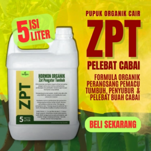 Pupuk ZPT Pelebat Buah Cabe / ZPT Pematang Buah Cabe / ZPT Pembesar Buah Cabe / Obat ZPT Untuk Cabe