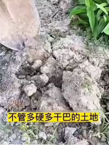 Soil Recomdition Agent (200g) 松土精 (N74100)