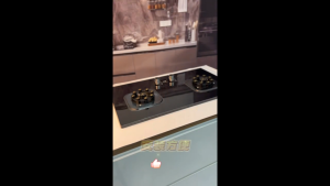 Gas Cooker Stove Fire Burner Gas Stove Table Top Burner Household Embedded Natural Gas Desktop Liquefied Gas Fierce Fire Stove Cooker