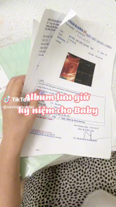 [HCM] File lá đựng tài liệu A4 túi đựng tài liệu bìa file lưu trữ giấy tờ nhiều ngăn 20-100 trang Joyee