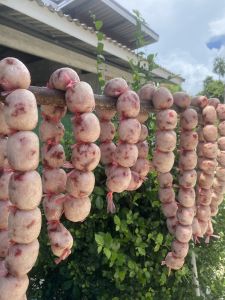 ไส้อั่ว เนื้อวัวบ้าน ปัตตานี สดใหม่ทุกวัน 1 แพค 6 ลูก สุดคุ้มเนื้อเน้นๆ ใช้ระบบซีลสินค้าอย่างดี