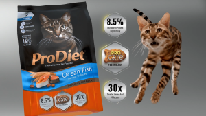 [FOC x500g] ProDiet Kitten Kibbles (1.3kg x 7)