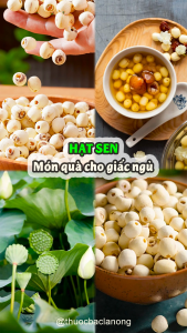 Hạt Sen 500g (Loại BởThơmMềm)