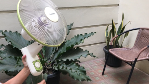 Panasonic Kipas Angin Dinding - 12 inch - EU309 - FREE ONGKIR Jabodetabek