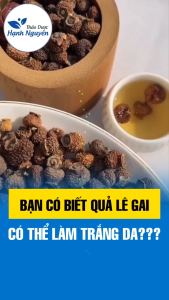 Lê gai Quý châu 100g quả lê gai khô giàu vitanmin C chống lão hóa dưỡng nhan - Thảo dược hạnh nguyên