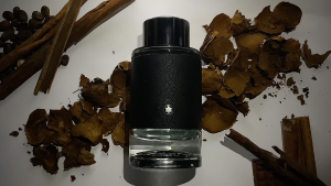 Montblanc Explorer Man (Parfum Pria EDP) - 100 ML