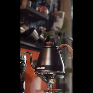 MHW-3BOMBER 800ml Pour Over Coffee Kettle Classic Gooseneck Kettle with Thermometer