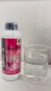 เจนวาย มิโน-เอ็กซ์ 1L. (กรดอะมิโนอิสระ 18 ชนิดที่จำเป็นสำหรับพืช) รูปแบบน้ำใส ดูดซึมได้ทันที ช่วยฟื้นฟูสภาพต้นโทรมหลังการเก็บเกี่ยว