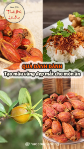 Quả dành dành 100g chi tử khô tạo màu mùi tự nhiên cho các món ăn