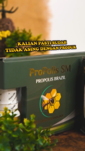Obat Tetes Propolis SM Brazilian 100% Asli Isi 6ml Herbal Alami Multikhasiat