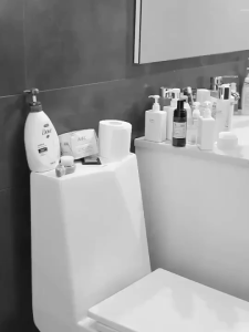 🔥【SG Ready Stock】🔥 Toilet Rack Stainless Steel Toiletries Bathroom Storage Organizer Rack Shelf Shampoo Shelve 马桶置物架