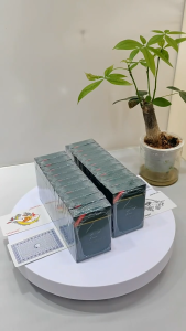 Secret Marked Stripper Deck & Perspective Playing Cards: Easy-to-Identify Back Magic Toys