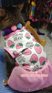 Pet Dress Cat Shirt Mesh Female Cat