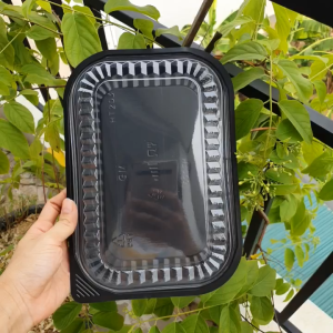 Set 50 Khay nhựa HT203 Mạnh Đức - Hộp đế đen nắp trong - Đựng hoa gà vịt sầu riêng tách múi