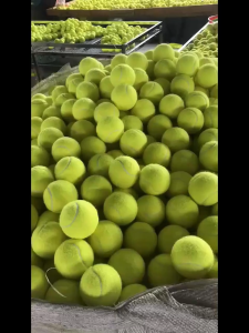 SET 10 PCS BOLA TENIS / BOLA KASTI LAPANGAN STANDAR MEMBAL MANTUL MURAH