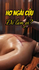 Nhang Ngãi Cứu Hội Quán Bùi Quốc Châu loại dài 18 cm Cao Cấp- An Toàn- Lành Tính - Thiết Bị Diện Chẩn.