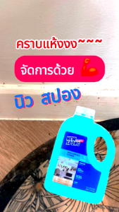 (ลดแรง!!) นิว สปอง น้ำยาถูพื้น 3.5 L x4 กลิ่นโอเชี่ยน น้ำยาเช็ดอเนกประสงค์ พื้นเงางาม ไม่เหนียวเท้า