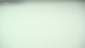 Nubwo NM3038 Dual Mode Wireless Bluetooth เมาส์ไร้สาย เมาส์บลูทูธ by Pan