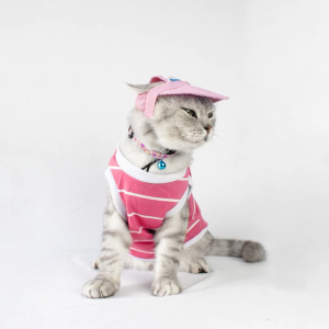 Baju Kucing Anjing Cewek Cowo Lucu Murah Gratis Ongkir 3 pcs 5 Ribu - BUKI PASTEL SERIES PACKAGE