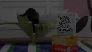 Cature Natural Tofu Clumping Litter (Tofu Mix 3in1)
