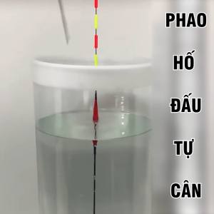 Phao Hố Đấu Tự Cân Săn Hàng Chuyên Câu Đài Câu Đơn Cao Cấp
