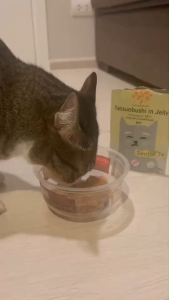 12 ซอง อาหารเปียกแมว Cat's Taste แมวสูงวัย 7 ปี+ (12 ซอง)