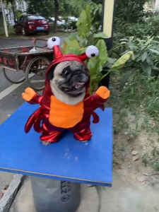 【Exclusive】 Whisker Halloween New Cross-border Crab Transformation Costumes Dogs and Cats Funny Clothes Small and Medium-sized Dogs Funny Upright Costumes