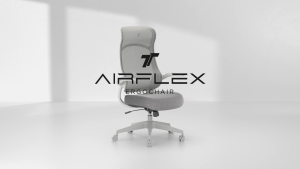 TT AIRFLEX Ergochair Mesh Office Chair Ergonomic Chair Kerusi Pejabat Ofis Study Chair  - 2 Years Official Warranty